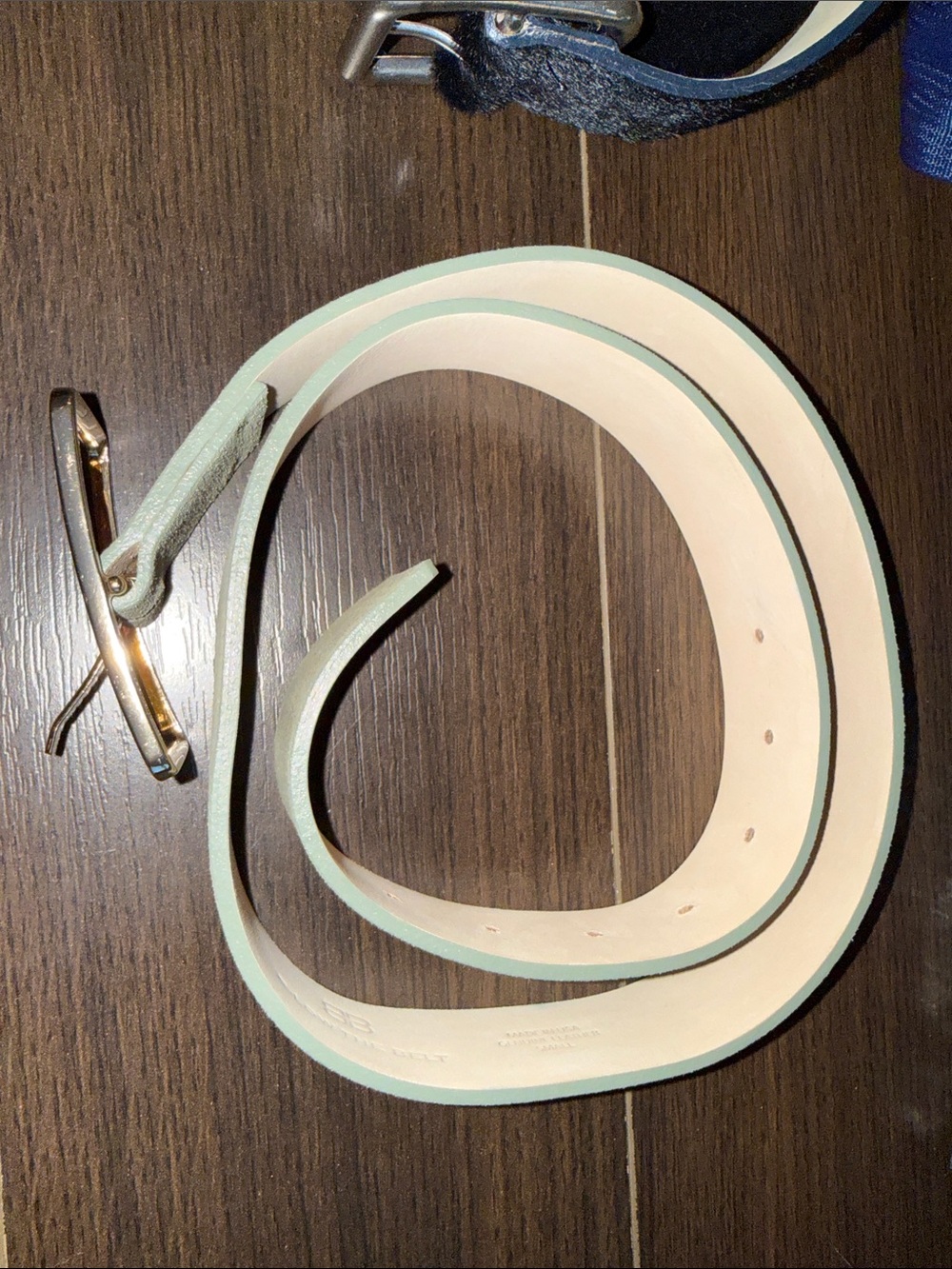 B-Low The Belt Suede Belt with Gold Buckle - Sage Green - Picture 5 of 7